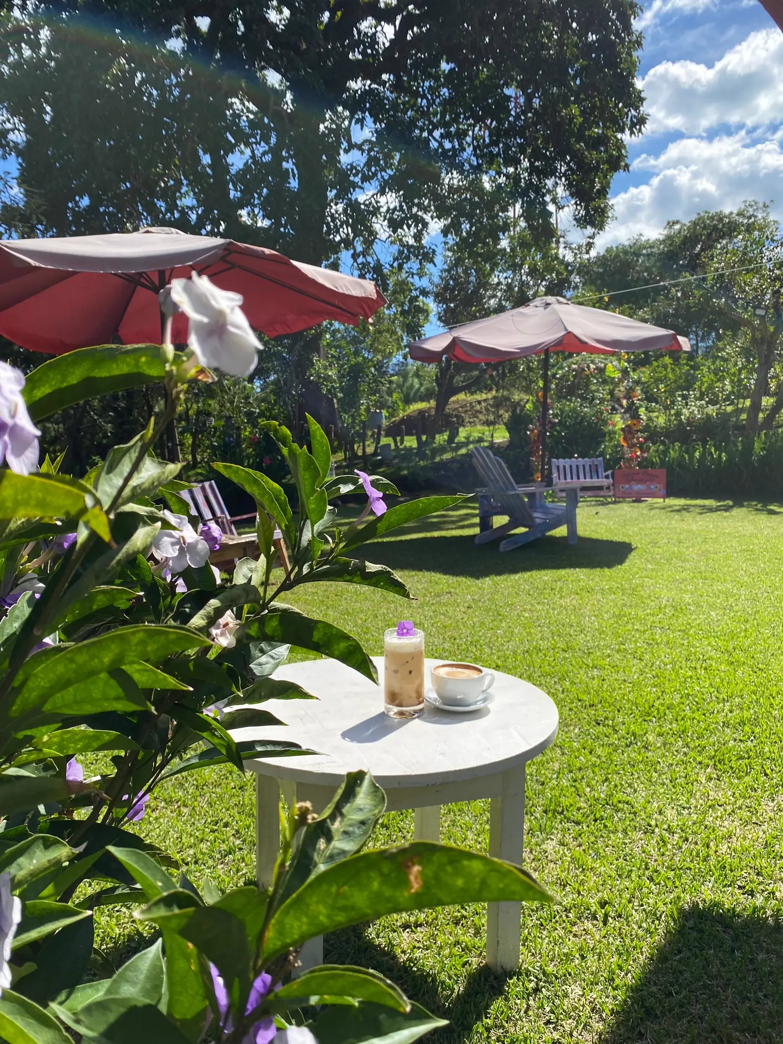 Eventos y celebraciones en Antigua Mágica 23