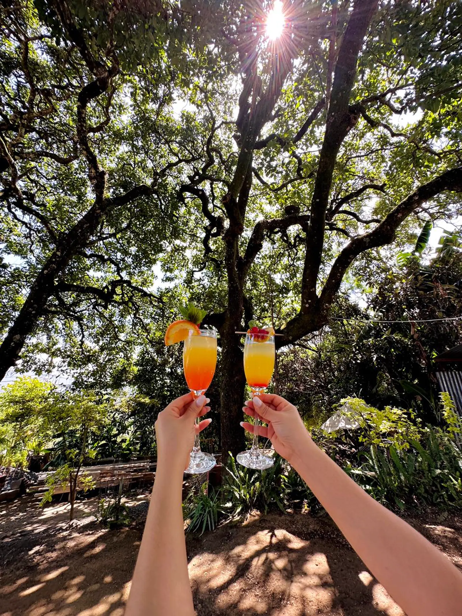 Experiencia rodeada de jardines y naturaleza en Antigua Mágica