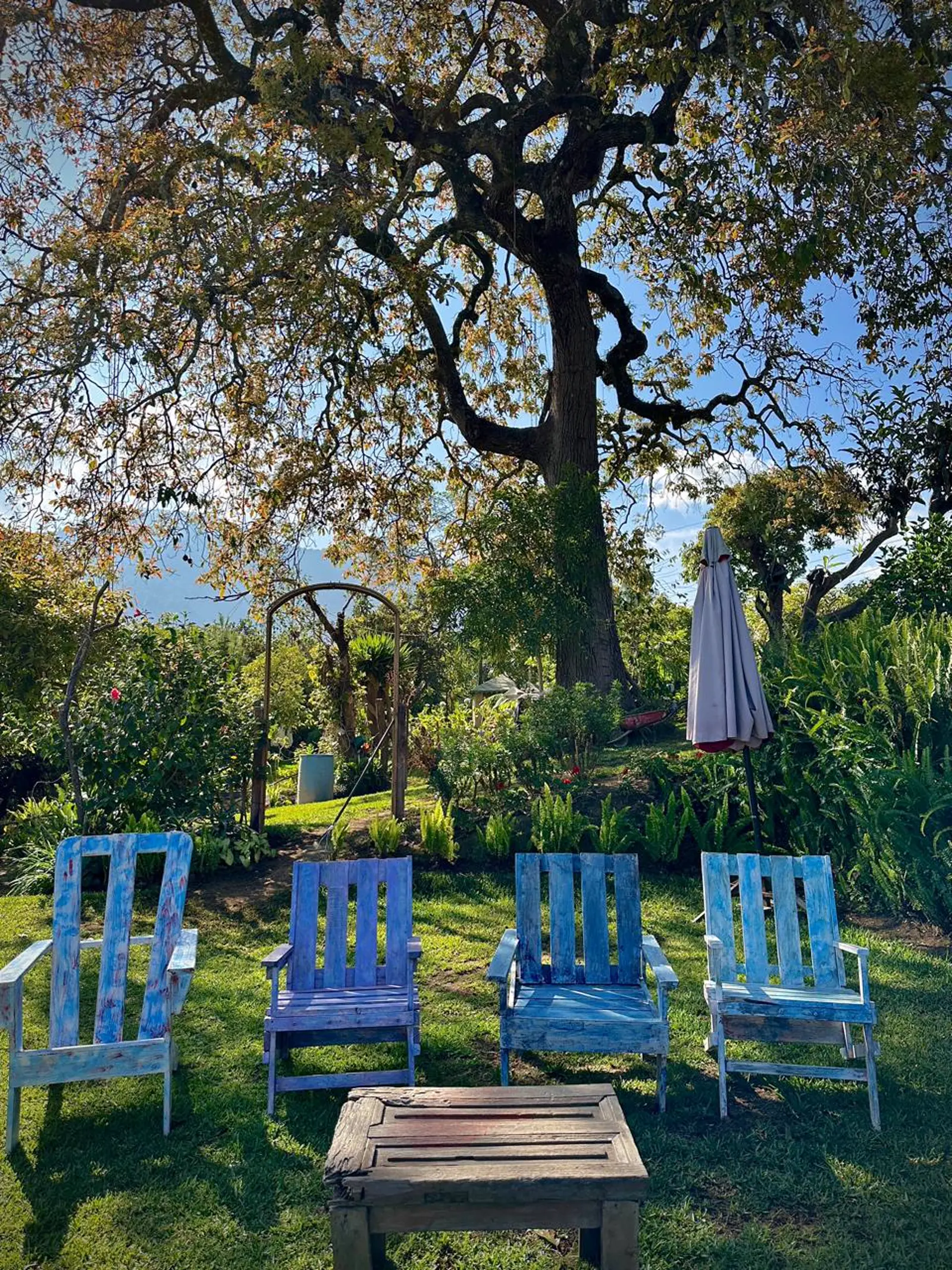 Restaurante jardín rodeado de naturaleza cerca de Antigua Guatemala